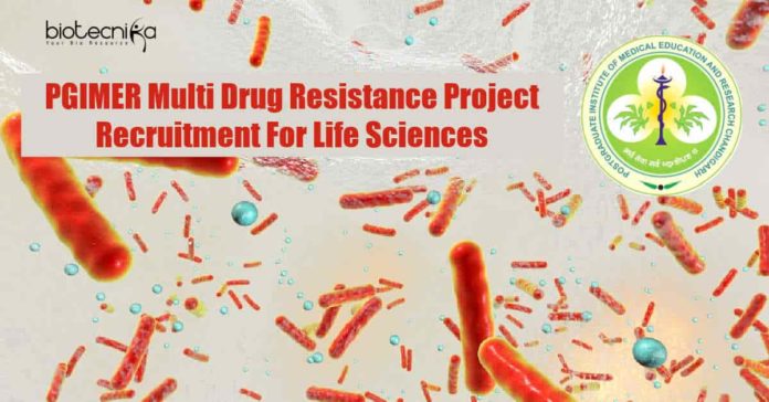 Microbiology SRF PGIMER Job