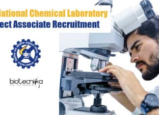 NCL Pune Project Jobs