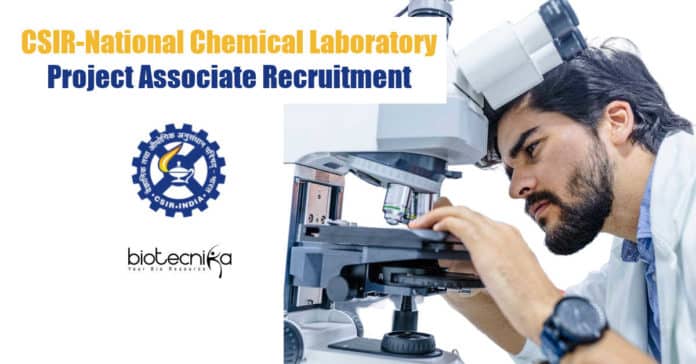NCL Pune Project Jobs