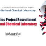 Toxicity Studies Project Recruitment at CSIR-National Chemical Laboratory NCL Pune Vacancies