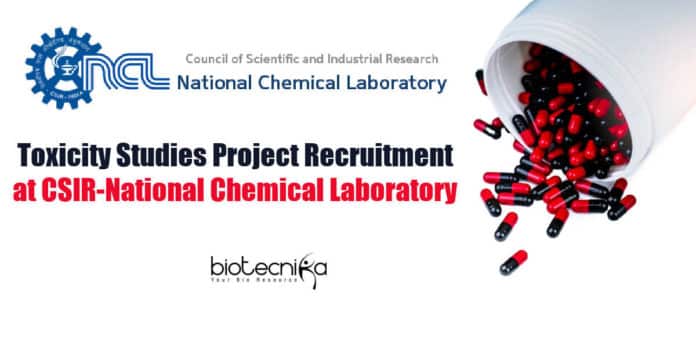 NCL Pune Vacancies