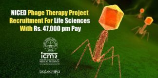 NICED PhD Research Jobs