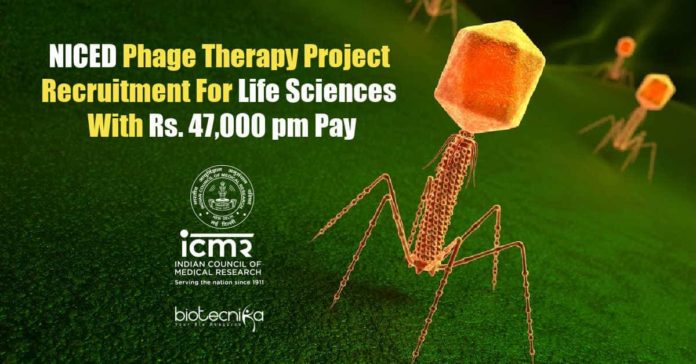 NICED PhD Research Jobs