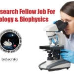 NIMHANS Research Fellow Job For Biotechnology & Biophysics NIMHANS Vacancy JRF Job