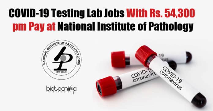 NIP COVID-19 Lab Recruitment