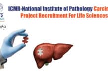 ICMR-National Institute of Pathology Carcinoma Project Recruitment For Life Sciences NIP Life Sciences Jobs