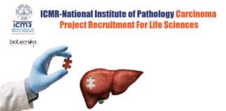 NIP Life Sciences Jobs