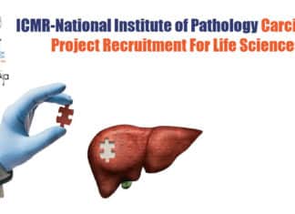 ICMR-National Institute of Pathology Carcinoma Project Recruitment For Life Sciences NIP Life Sciences Jobs