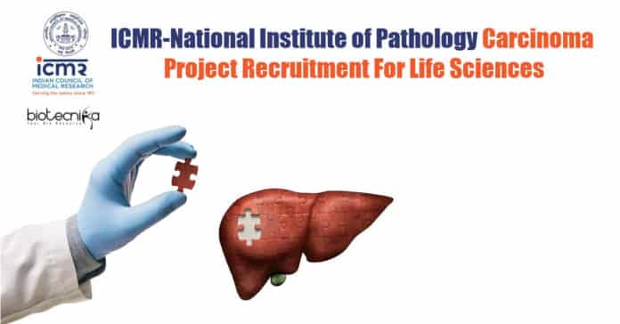 NIP Life Sciences Jobs