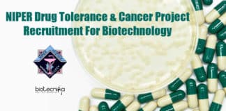 NIPER Biotechnology Job