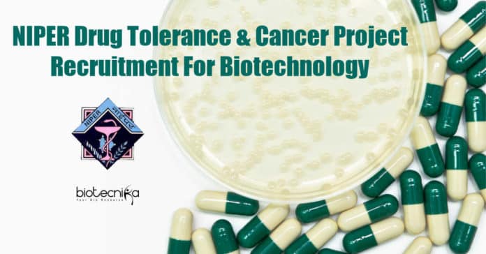 NIPER Biotechnology Job