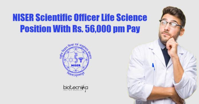 NISER Scientific Officer Job