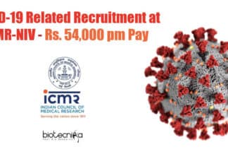 NIV Pune Jobs