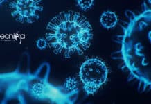 Bharathidasan University Project Job – Applications Invited Project Fellow For Microbiology