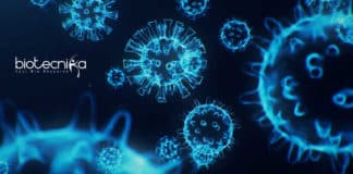 Project Fellow For Microbiology