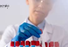 RCB JRF Vacancy For MSc & MTech Life Sciences – Apply Online RCB Faridabad Jobs