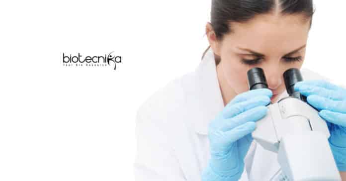Research Fellow Life Science