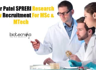 SPRERI Research Fellow