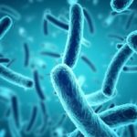 Sartorius Microbiology & Biotechnology