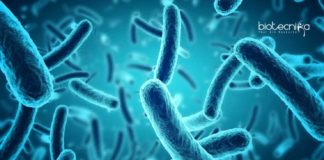 Sartorius Microbiology & Biotechnology