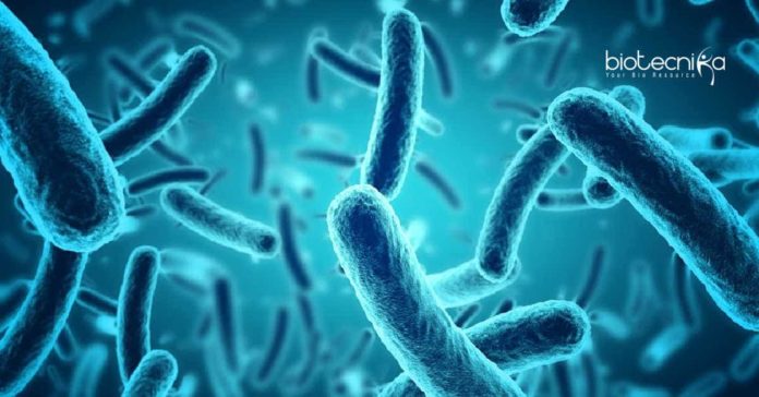 Sartorius Microbiology & Biotechnology