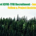 TFRI Junior Project Fellow