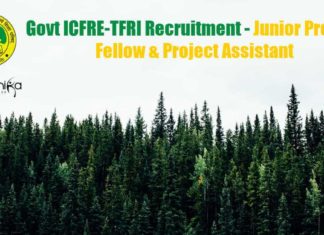 TFRI Junior Project Fellow