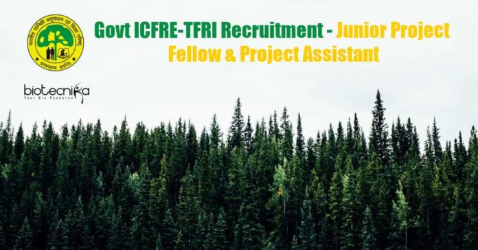 TFRI Junior Project Fellow