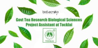 Tea Research Job Tocklai