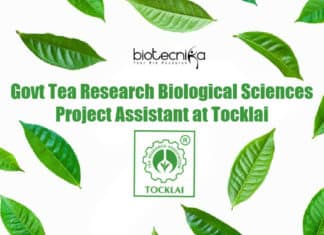 Tea Research Job Tocklai