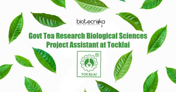 Tea Research Job Tocklai