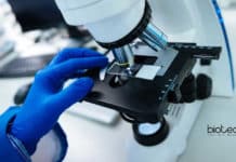 Teva Pharma Associate – Regulatory Affairs, Life Sciences Apply Teva Pharma Associate