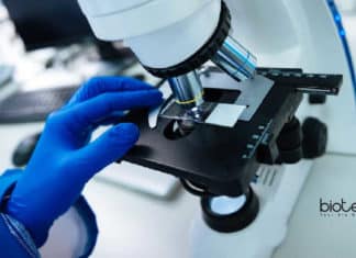 Teva Pharma Associate – Regulatory Affairs, Life Sciences Apply Teva Pharma Associate