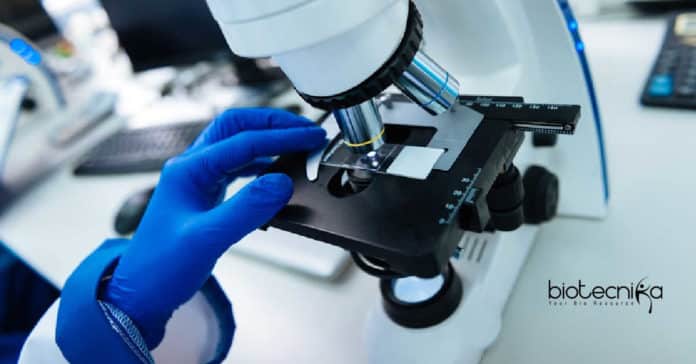Teva Pharma Associate