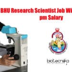 BHU Research Scientist Job