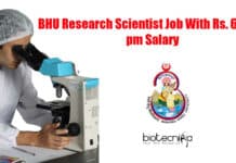 BHU Research Scientist Job