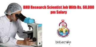 BHU Research Scientist Job
