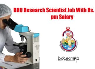 BHU Research Scientist Job