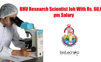 BHU Research Scientist Job