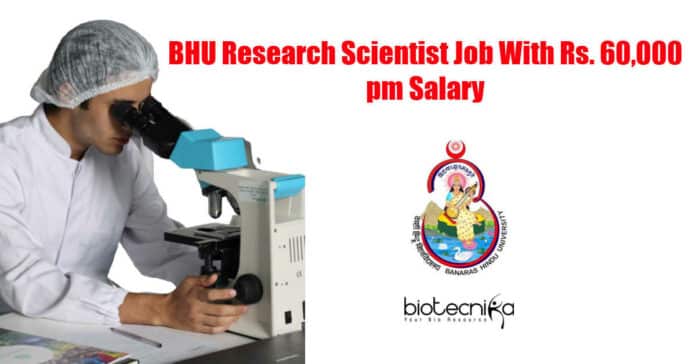 BHU Research Scientist Job