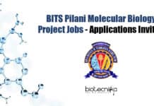 BITS Pilani Molecular Biology Project Jobs – Applications Invited BITS Pilani Project Jobs