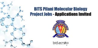 BITS Pilani Project Jobs
