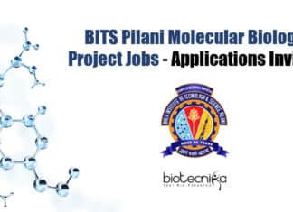 BITS Pilani Project Jobs