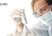 University of Madras Biotechnology Project Fellow Recruitment Biotech Project Fellow Job