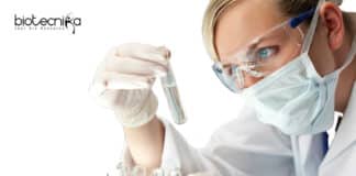 Biotech Project Fellow Job