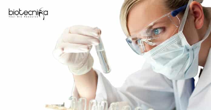 Biotech Project Fellow Job