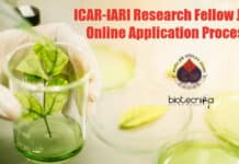 ICAR-IARI Research Fellow Job – Online Application Process IARI Research Fellow Jobs