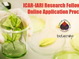 IARI Research Fellow Jobs
