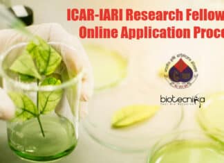 IARI Research Fellow Jobs