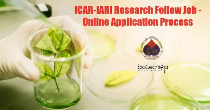 IARI Research Fellow Jobs